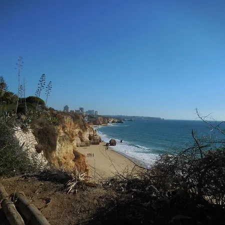 Casa Tres Palmeiras 住宿加早餐酒店 *